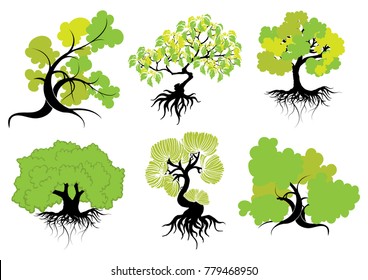 tree on white background