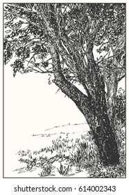 Tree on white background. Black and white dashed style sketch, line art, drawing with pen and ink. 