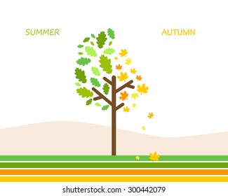 Tree on a white background color changes of the leaves. Vector illustration