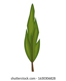 Tree on a white background for construction and design. Cartoon style. Vector illustration