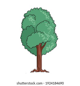Tree on white background Cute Cartoon Vector illustration
