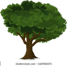 Tree on white background, EPS 10 vector
