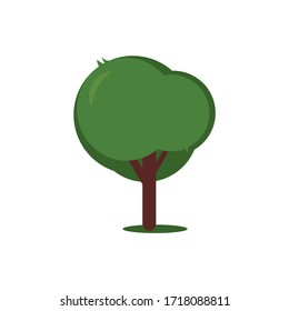 Árbol de fondo blanco, vector aislado