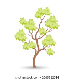 Tree on white background. Natural design. Vector illustration.