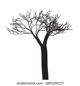 
tree on white background vector eco 
life on the planet nature