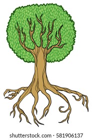 Tree on a white background. Vector illustration hand drawn