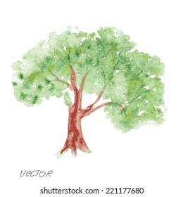 tree on a white background. watercolor painting vector