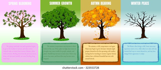 tree on white background,Vector trees in silhouettes.Create many more trees with leaves and bare trees on the bottom,Set of abstract trees,Green Oak,tree with a realistic