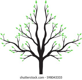 tree on white background,Vector trees in silhouettes Set of abstract trees,Green Oak,tree with a realistic,beautiful trees,