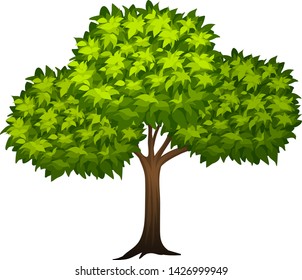 Ein Baum auf weißem Hintergrund