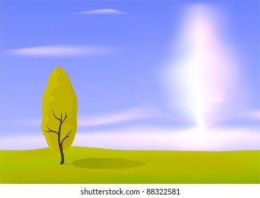 Tree one in the field