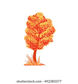 Tree With Orange Leaves As Autumn Attribute