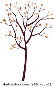 A tree with orange and red leaves in autumn. Indian summer. Vector illustration. Transparent background