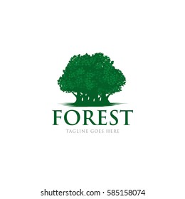 tree organic forest concept logo icon vector template