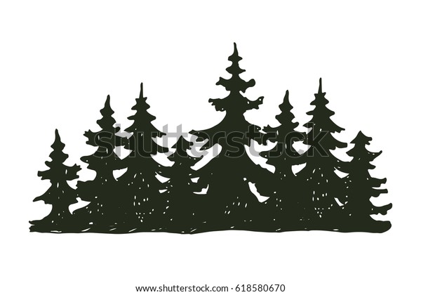 木の屋外に出る黒いシルエット 針葉樹 松の花の枝杉 植物の葉の抽象的な茎描きのベクターイラスト のベクター画像素材 ロイヤリティフリー