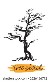 Tree. Outline brush on a white background.
