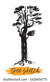 Tree. Outline brush on a white background.