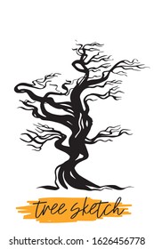 Tree. Outline brush on a white background.
