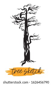Tree. Outline brush on a white background.