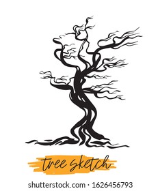 Tree. Outline brush on a white background.
