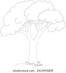 Tree outline for coloring illustration