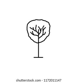 Tree outline icon. Element of ecology icon for mobile concept and web apps. Thin line Tree can be used for web and mobile