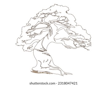 A tree outline refers to a simplified representation or sketch of a tree, capturing its basic structure and form. It typically focuses on the outline or silhouette of the tree, omitting intricate deta