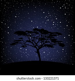 Tree over starry night