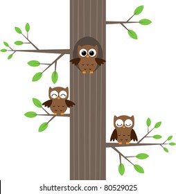 Tree owls sitting on a tree with a hole