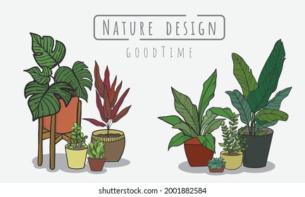 Tree painting Set, Indoor and outdoor landscape garden potted plants isolated on white, Vector set green plant in the pot.