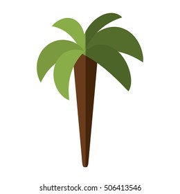tree palm beach isolated icon vector illustration design