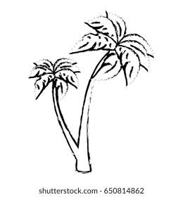 tree palm beach isolated icon