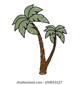 tree palm beach isolated icon