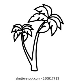 tree palm beach isolated icon