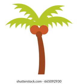 tree palm beach isolated icon