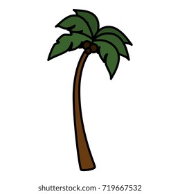 tree palm beach isolated icon