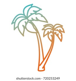 tree palm beach isolated icon
