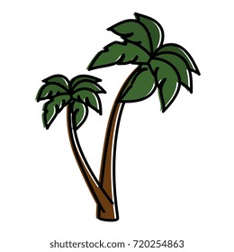 tree palm beach isolated icon