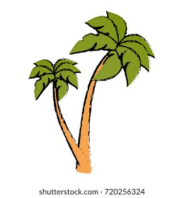tree palm beach isolated icon