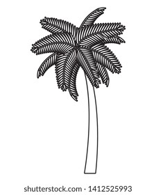 tree palm beach summer icon