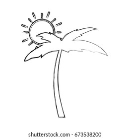 tree palm beach with sun