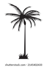 tree palm black silhouette icon