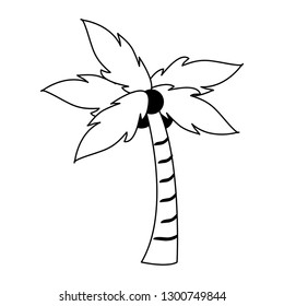 tree palm with coconuts black and white