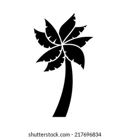 tree palm graphic design , vector illustration