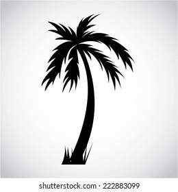 tree palm graphic design , vector illustration