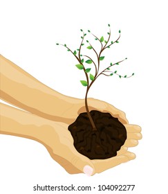 Tree in palm of hand, vector image