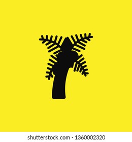tree palm icon vector