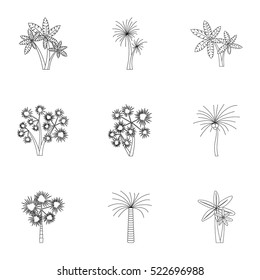 Tree palm icons set. Outline illustration of 9 tree palm vector icons for web