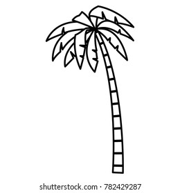 Tree palm isolated