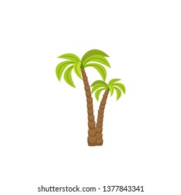 tree palm isolated icon